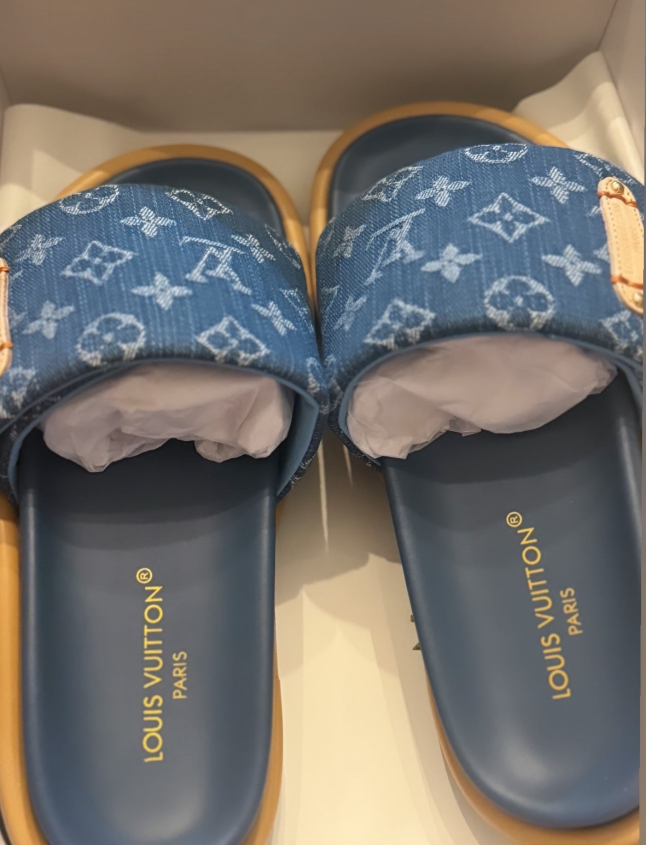 Lv slides